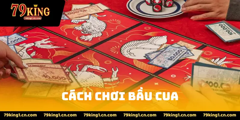 Cách Chơi Bầu Cua