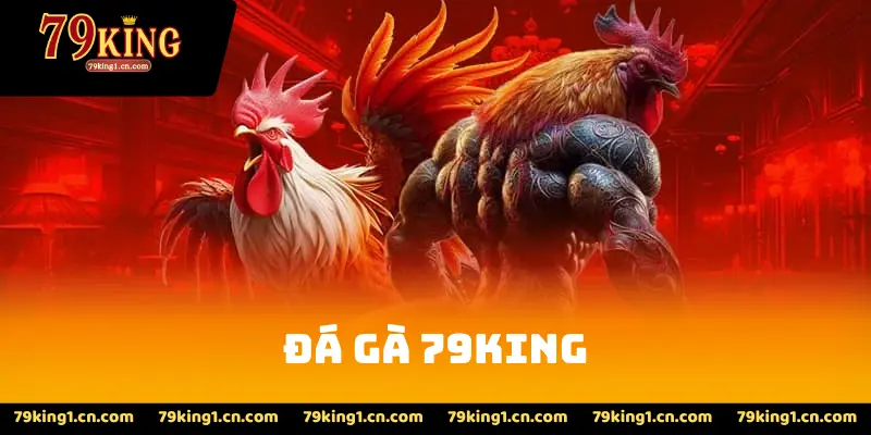 Đá Gà 79King