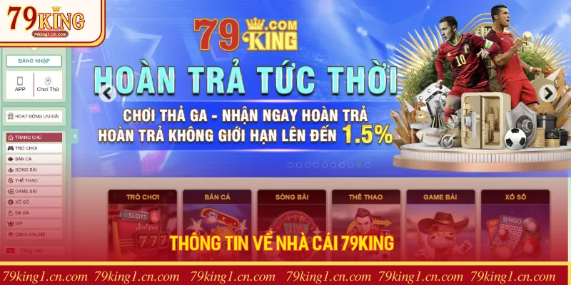 Thông tin giới thiệu về nhà cái 79KING